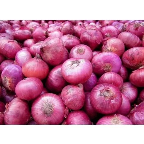 Red Onion 