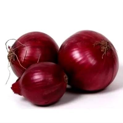 Fresh Red Onion