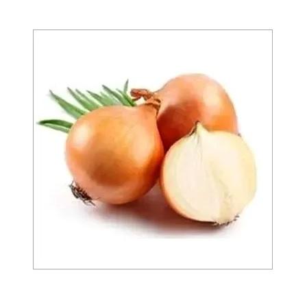 Light Red Onion