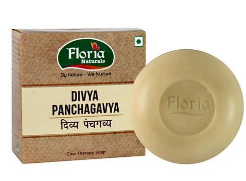PANCHGAVYA SOAP