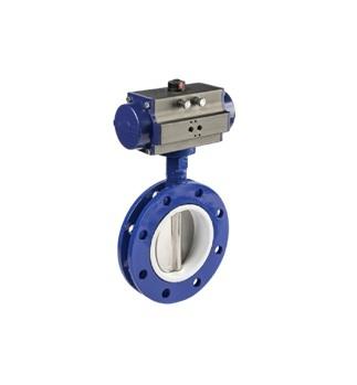 CI Butterfly valve