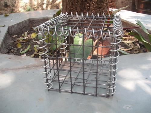 TMT Rebar/Construction Mesh
