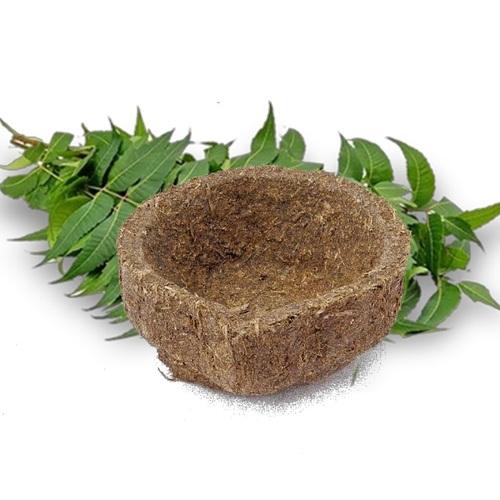 Neem Panchgavya  Hawan Deepak