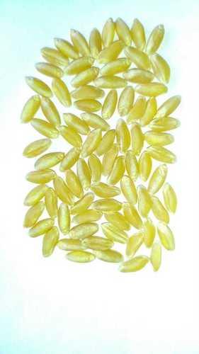 chandausi wheat