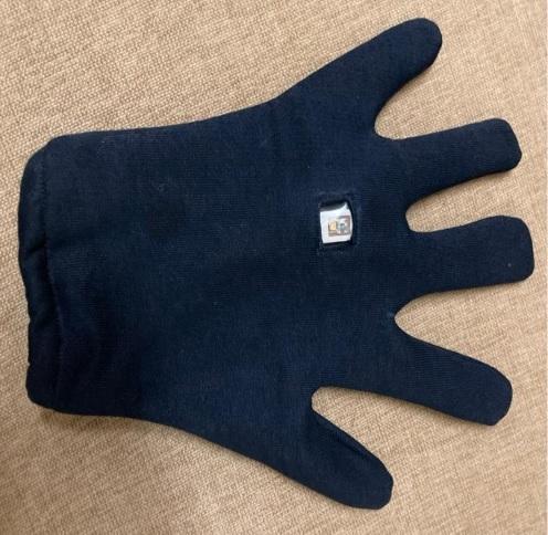 Glofecs (Electronic Washable Disinfectant Gloves for Pandemic Situation)