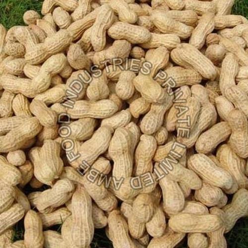 Shelled Groundnut