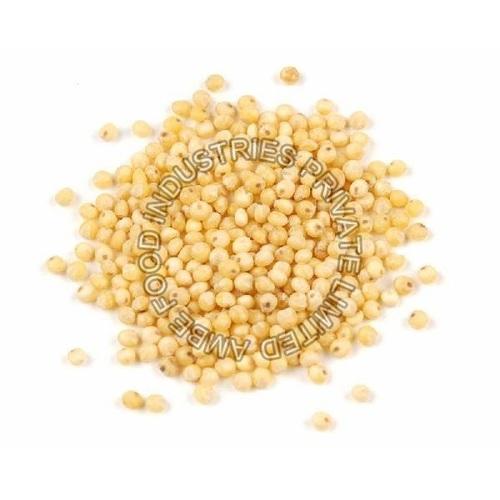 Millet Seeds