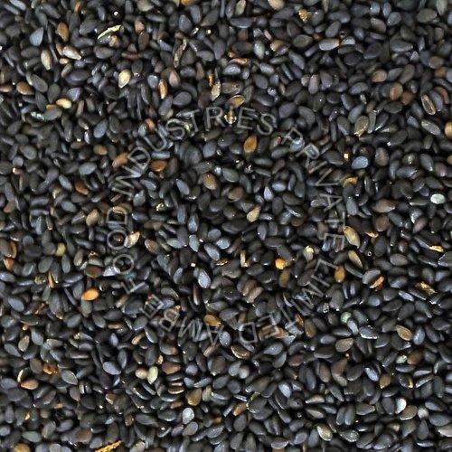 Sesame Seeds