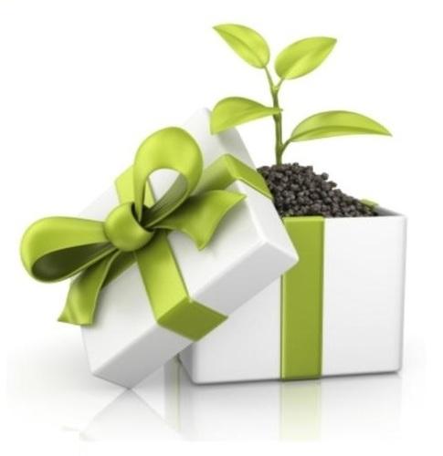 Eco Friendly Kraft Paper