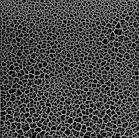  Wood Texture Paints - Wood Crackled Paint