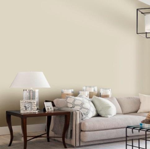 Decorative Paints - Mascryl Paint