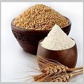 Wheat Flour