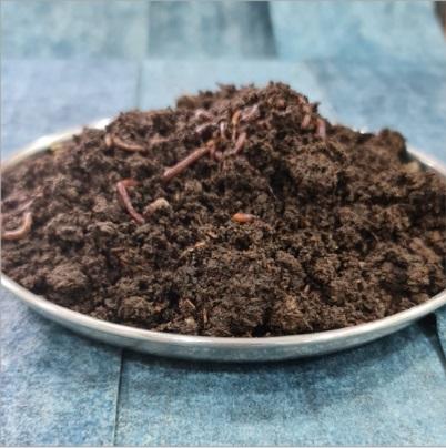 Bio Vermicompost