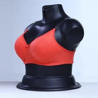 Ladies Padded Bra