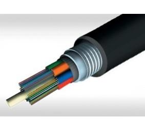 Fiber Optics (FO)