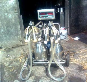 MILK MACHINE WITH TWO CANS