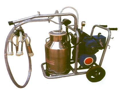 MOBILE TROLLY SINGLE COW