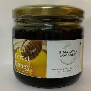 Wild Forest Honey