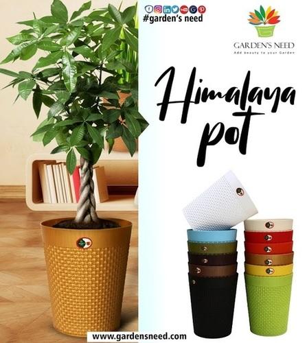 Himalaya Pot