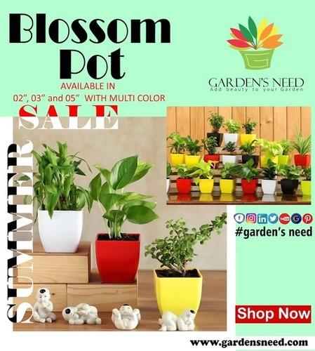 Blossom Pot