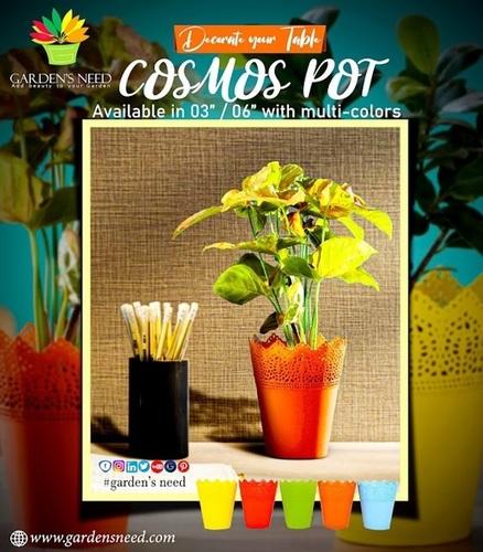 Cosmos Pot
