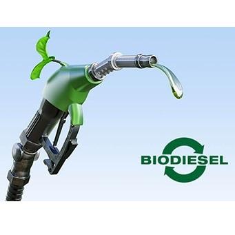 Bio Diesel