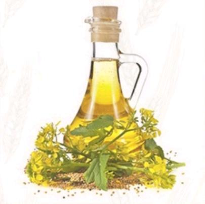 MUSTARD OIL