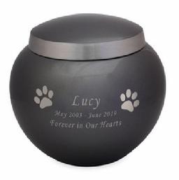 Odyssey Paw Print Platinum