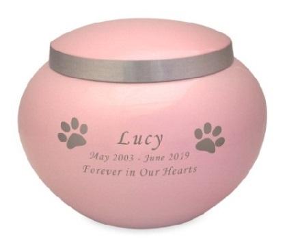 Odyssey Paw Print Pink