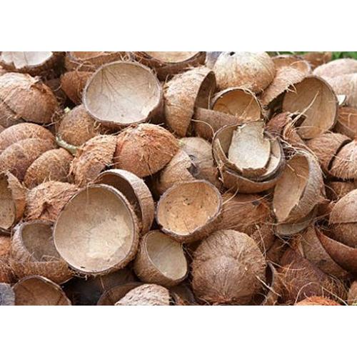 Coconut Shells