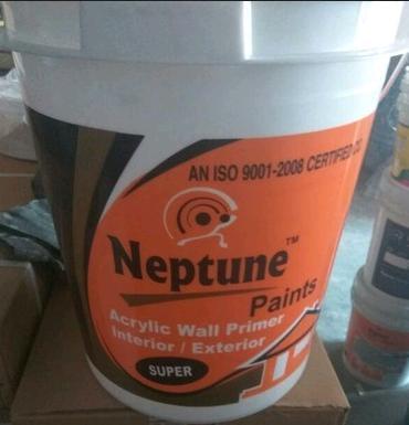 NEPTUNE PAINTS