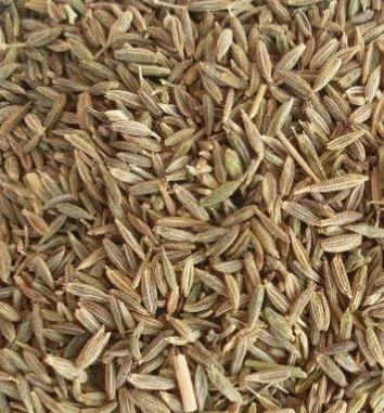 Cumin Seed