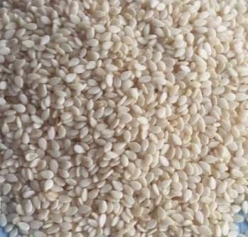 Hulled Sesame