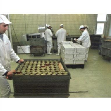 Heavy Duty - HF Deckrete Industrial System