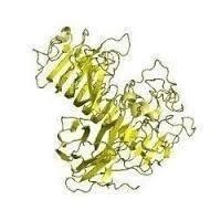 Sugar processing Enzyme