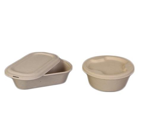 Biodegradable Food Container