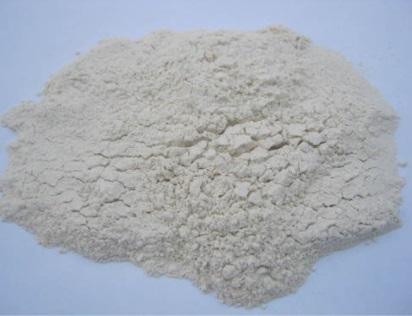 Dehydrated White Onion Powder