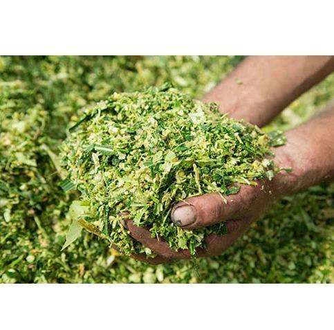 Green Animal Feed