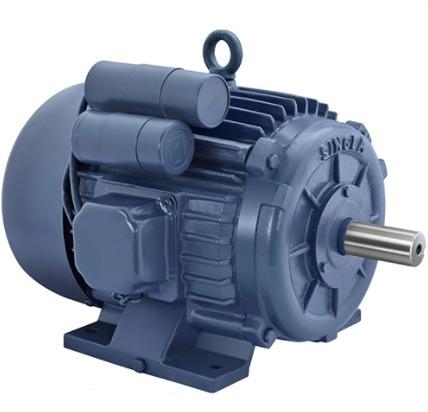 SINGLE PHASE CAST IRON BODY AC INDUCTION MOTOR