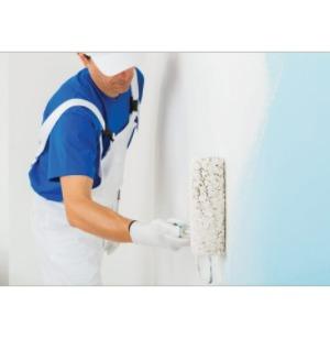 Liquid Oil Based Paint Anti Corrosive Coating