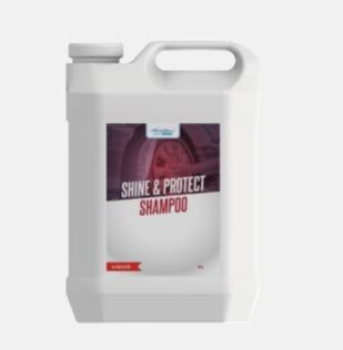 SHINE & PROTECT SHAMPOO 