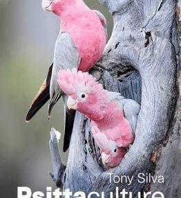 Psittaculture By Tony Silva