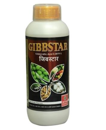 Gibbstar
