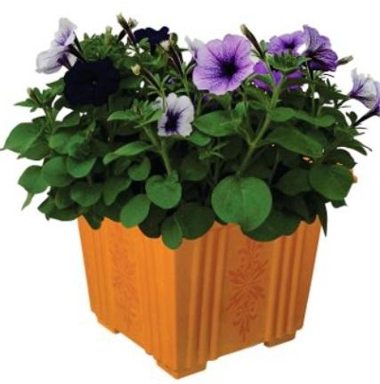 Bageecha Plastic Planters