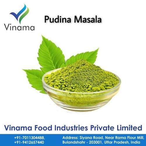Pudina Masala