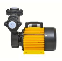 Self Priming Domestic Pump