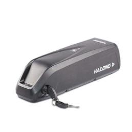 Electric Cycle Battery