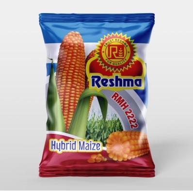 RMH - 2222 Golden Yellow Maize Seeds