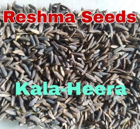 Kala Heera Paddy Seeds