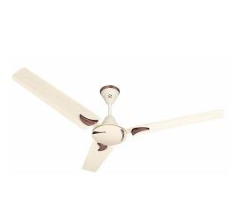 Tooshi Ceiling Fan